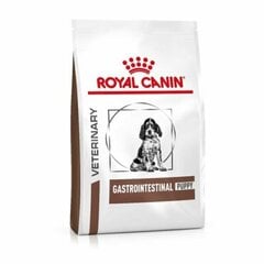 Royal Canin labākai gremošanai Dog gastro intestinal junior, 2,5 kg cena un informācija | Sausā barība suņiem | 220.lv