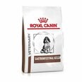 Royal Canin labākai gremošanai Dog gastro intestinal junior, 2,5 kg