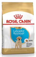 Royal Canin Labradora retrīvera šķirnes suņiem Junior, 3 kg cena un informācija | Sausā barība suņiem | 220.lv