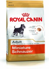 Royal Canin miniatūras šnauceriem Adult, 3 kg cena un informācija | Sausā barība suņiem | 220.lv
