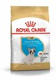 Royal Canin franču buldogu šķirnes suņiem Junior, 3 kg