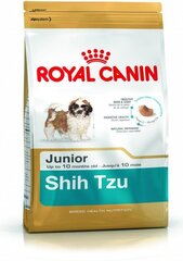 Royal Canin Šicu šķirnes suņiem Junior, 0,5 kg cena un informācija | Sausā barība suņiem | 220.lv