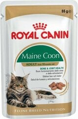Royal Canin корм для взрослых кошек породы Мейн Кун, 12 x 85 г цена и информация | Консервы для котов | 220.lv