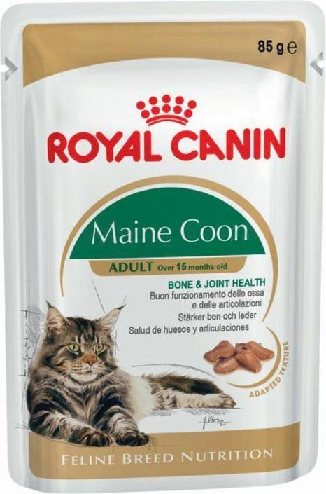 ROYAL CANIN FBN WET 85Gx12 MAINE COON KAĶIEM цена и информация | Konservi kaķiem | 220.lv