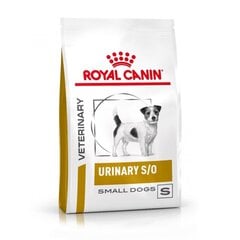 Royal Canin mazo šķirņu suņiem ar nieru problēmām Dog urinary small, 1,5 kg cena un informācija | Sausā barība suņiem | 220.lv