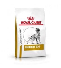 Royal Canin suņiem ar nieru darbības traucējumiem Dog urinary, 2 kg cena un informācija | Sausā barība suņiem | 220.lv