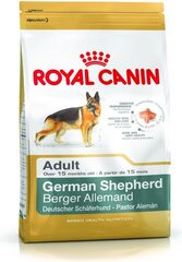 Royal Canin vācu aitu šķirnes suņiem Adult, 3 kg цена и информация | Сухой корм для собак | 220.lv