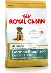 Royal Canin Vācu aitu suņu kucēniem Junior, 3 kg cena un informācija | Sausā barība suņiem | 220.lv