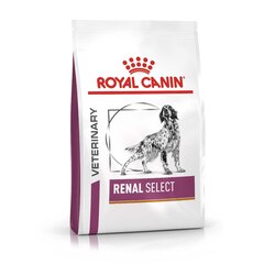 Royal Canine suņiem ar nieru darbības traucējumiem Renal Select Canine, 2 kg цена и информация |  Сухой корм для собак | 220.lv