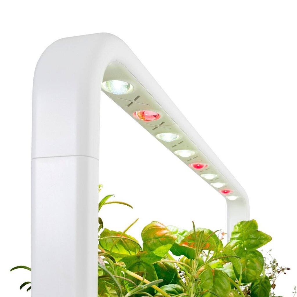 Click & Grow Smart Garden 9 цена и информация | Diedzēšanas trauki, augu lampas | 220.lv