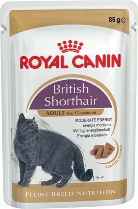 ROYAL CANIN FBN WET 85Gx12 BRITISH SHORTHAIR KAĶIEM cena un informācija | Konservi kaķiem | 220.lv