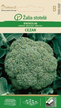 BROKOĻI CEZAR cena un informācija | Dārzeņu, ogu sēklas | 220.lv