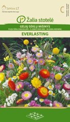 Смесь цветов Everlasting цена и информация | Семена цветов | 220.lv