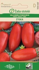 Съедобные помидоры Zyska цена и информация | Семена овощей, ягод | 220.lv