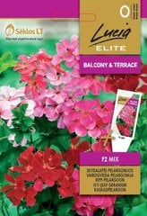 VAIROGVEIDA PELARGONIJA MIX F2 цена и информация | Семена цветов | 220.lv