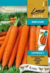 Морковь пищевая Amstardam 2 цена и информация | Семена овощей, ягод | 220.lv