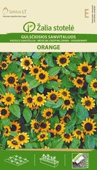 Санвиталия распростёртая Orange цена и информация | Семена цветов | 220.lv