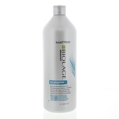 Atjaunojošs matu šampūns Matrix Biolage Advanced Keratindose Pro-Keratin + Silk 1000 ml cena un informācija | Šampūni | 220.lv