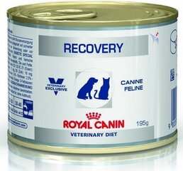 Royal Canin diētiska barība suņiem un kaķiem atveseļošanas laikā, 195 g cena un informācija | Konservi kaķiem | 220.lv