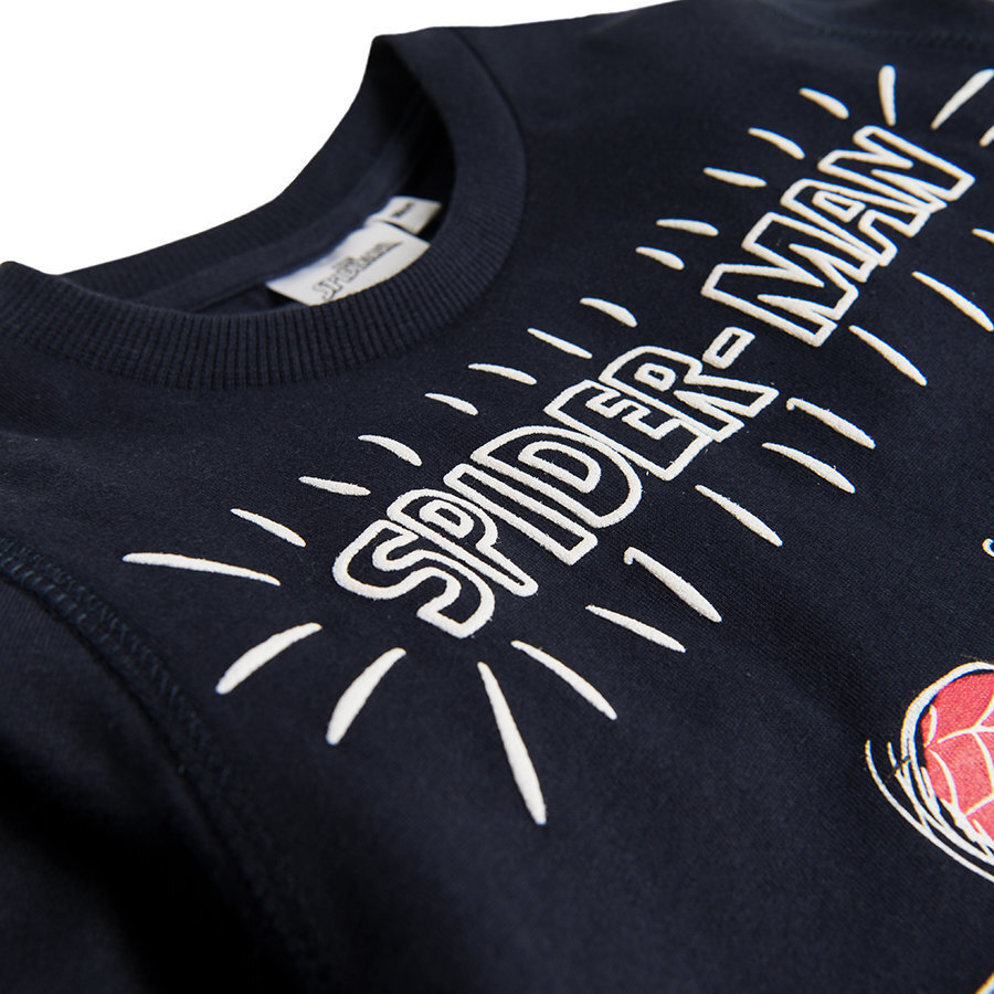Cool Club krekls zēniem Spider-Man, LCB1810002 цена и информация | Zēnu jakas, džemperi, žaketes, vestes | 220.lv