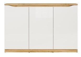 Шкафчик Nuis 3D, дубовый/белый цена и информация | Шкафчики в гостиную | 220.lv