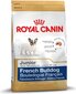 Royal Canin franču buldoga šķirnes kucēniem, 10 kg цена и информация | Sausā barība suņiem | 220.lv