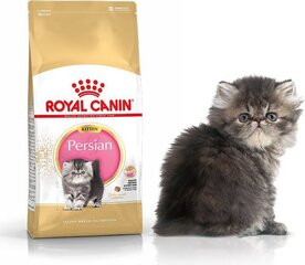 Royal Canin корм для котят породы Персидские, 0,4 кг цена и информация | Сухой корм для кошек | 220.lv