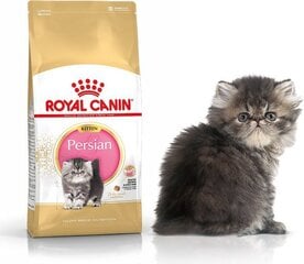 Royal Canin корм для котят породы Персидские, 2 кг цена и информация | Сухой корм для кошек | 220.lv