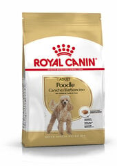 Royal Canin корм для собак породы пудель Adult, 1,5 кг цена и информация |  Сухой корм для собак | 220.lv