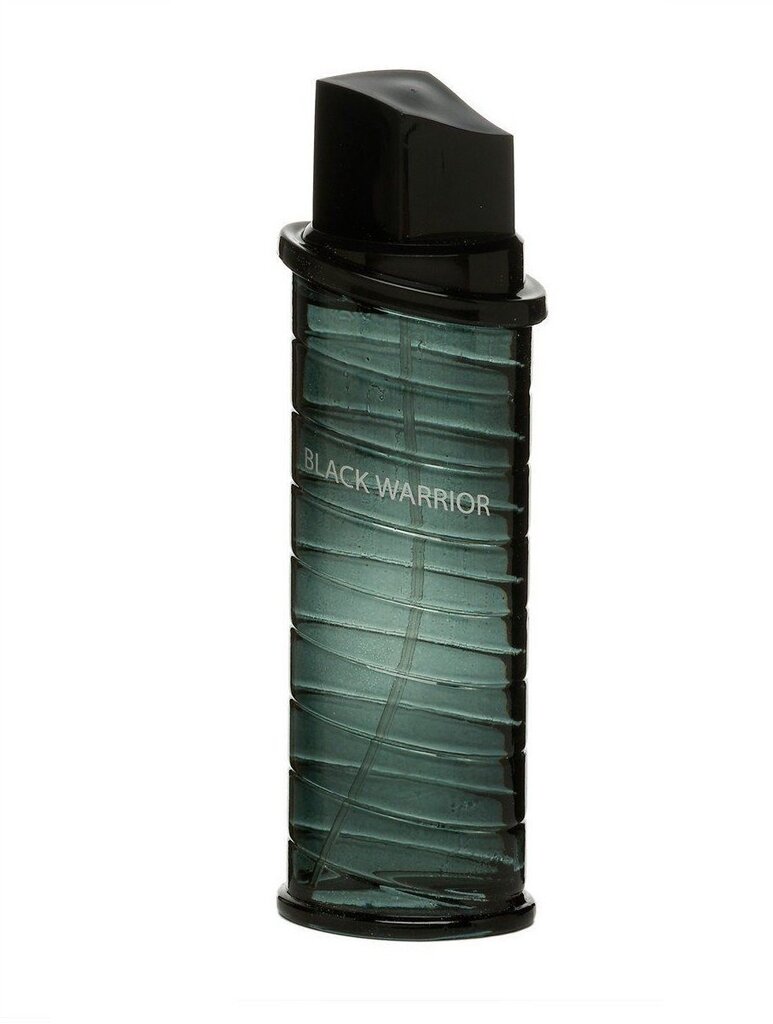 Tualetes ūdens Real Time Black Warrior EDT vīriešiem 100 ml cena un informācija | Vīriešu smaržas | 220.lv