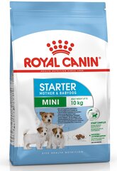 Royal Canin Mini, 8,5 kg cena un informācija | Sausā barība suņiem | 220.lv