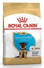 Royal Canin Vācu aitu suņiem German Shepherd junior, 12 kg cena un informācija | Sausā barība suņiem | 220.lv