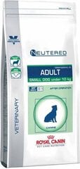 Royal Canin suņiem ar mutes dobuma higiēnas problēmām Neutered Adult Small Dog, 3,5 kg cena un informācija | Sausā barība suņiem | 220.lv