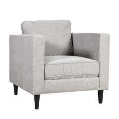 Кресло Spencer, светло-серый цена и информация | Кресла для отдыха | 220.lv