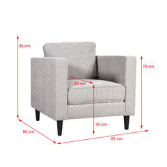 Кресло Spencer, светло-серый цена и информация | Кресла в гостиную | 220.lv