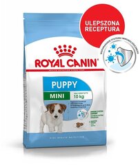 Royal Canin mazo šķirņu kucēniem Mini junior, 4 kg cena un informācija | Sausā barība suņiem | 220.lv