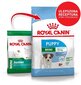 Royal Canin mazo šķirņu kucēniem Mini junior, 4 kg цена и информация | Sausā barība suņiem | 220.lv