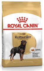 Корм Royal Canin для ротвейлеров Rottweiler, 12 кг цена и информация | Сухой корм для собак | 220.lv