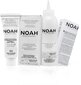 Noturīga matu krāsa Noah 9.0 Very Light Blond 140 ml cena un informācija | Matu krāsas | 220.lv