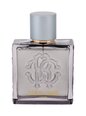 Tualetes ūdens Roberto Cavalli Silver Essence EDT vīriešiem 100 ml