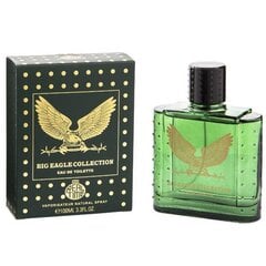 Туалетная вода Real Time Big Eagle Collection Green EDT для мужчин 100 мл цена и информация | Мужские духи | 220.lv