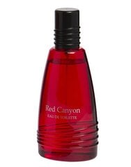 Tualetes ūdens vīriešiem Real Time Red Canyon EDT 100 ml cena un informācija | Vīriešu smaržas | 220.lv