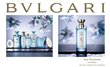 Odekolons Bvlgari Eau Parfumee au The Bleu EDC sievietēm / vīriešiem 75 ml цена и информация | Sieviešu smaržas | 220.lv