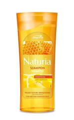 Šampūns ar medu un citronu sausiem matiem Joanna Naturia 200 ml cena un informācija | Šampūni | 220.lv