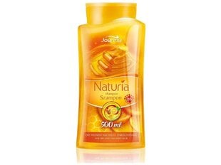 Šampūns ar medu un citronu sausiem matiem Joanna Naturia 500 ml цена и информация | Шампуни | 220.lv