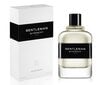 Tualetes ūdens Givenchy Gentleman EDT vīriešiem 100 ml цена и информация | Vīriešu smaržas | 220.lv