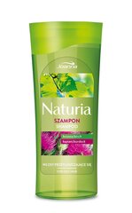 Šampūns taukainiem matiem ar bērzu un dadzi Joanna Naturia 200 ml cena un informācija | Šampūni | 220.lv