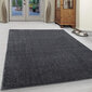 Paklājs Ata Grey, 200x290 cm цена и информация | Paklāji | 220.lv