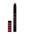 2 in 1 lip and eye liner Lip Duo Sculpt Bourjois