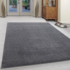 Ковёр Ata Lightgrey 60x100 см цена и информация | Ковры | 220.lv